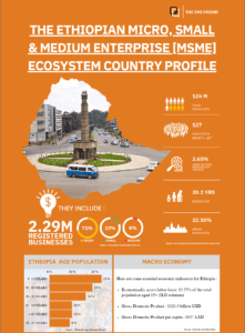 MSME Infographic - Ethiopia